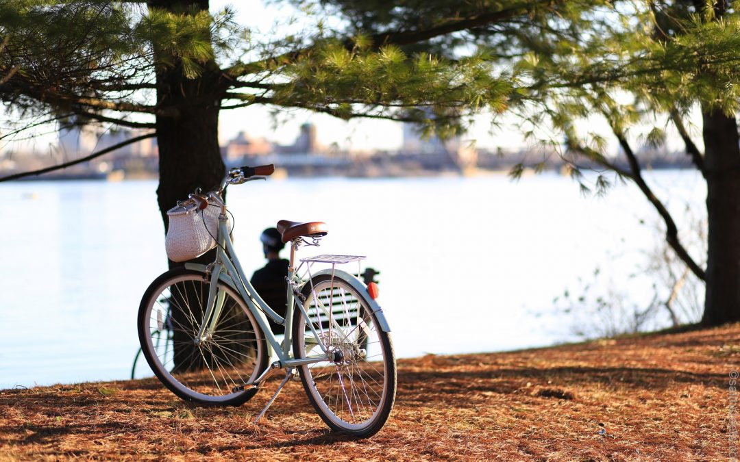 Cicloturismo: salir de vacaciones y descubrir nuevos lugares sobre ruedas