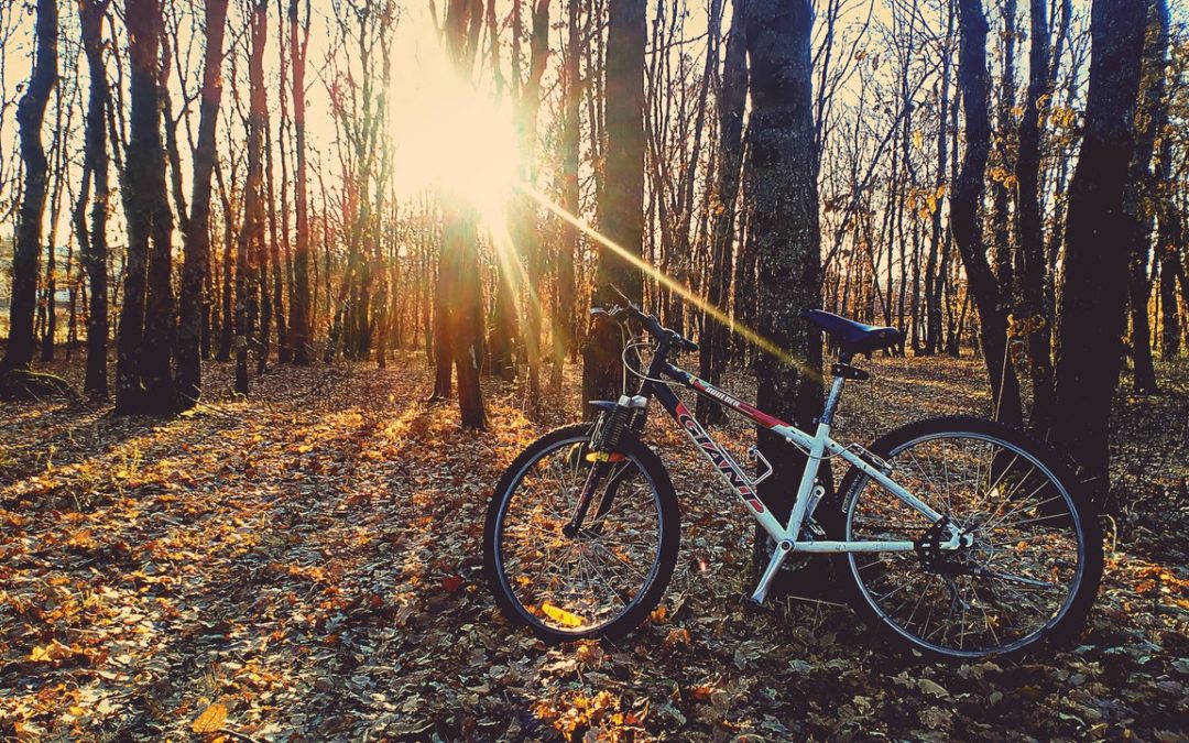 Consejos para elegir la talla de la bicicleta correcta